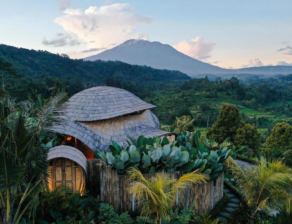 7 Day Wellness & Yoga Retreat in Bali